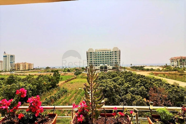 Трехкомнатная квартира в окружении апельсиновых рощ