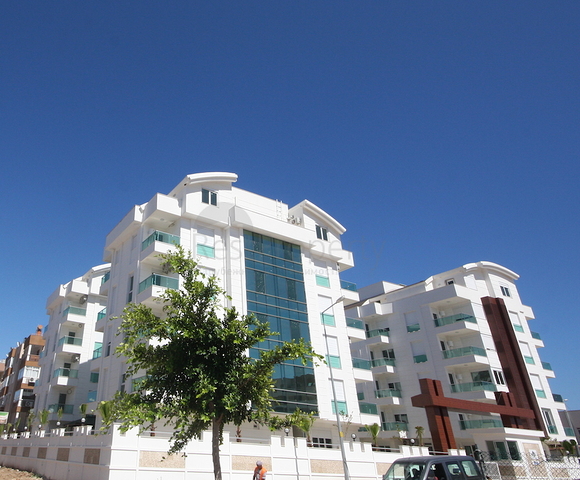 Уютная квартира с выходом в сад всего в 600 м от моря