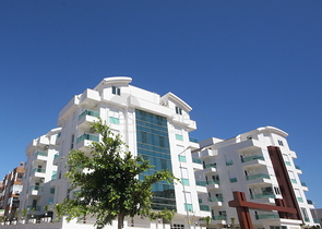 Уютная квартира с выходом в сад всего в 600 м от моря