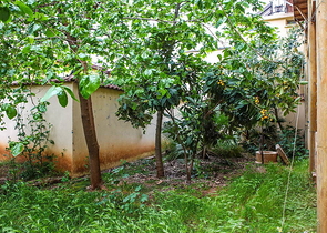 Земля с проектом отеля в Калеичи в Анталии