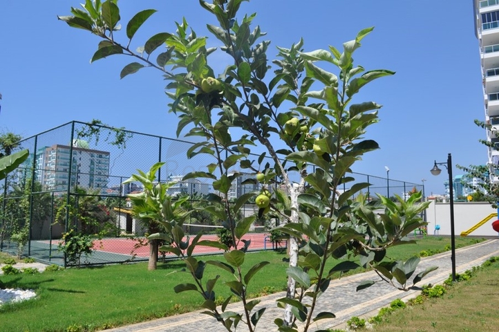 Новый элитный проект в Махмутларе