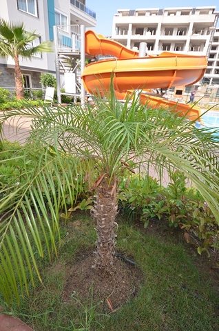 Квартира 1+1 в комплексе отельного плана в Кестеле