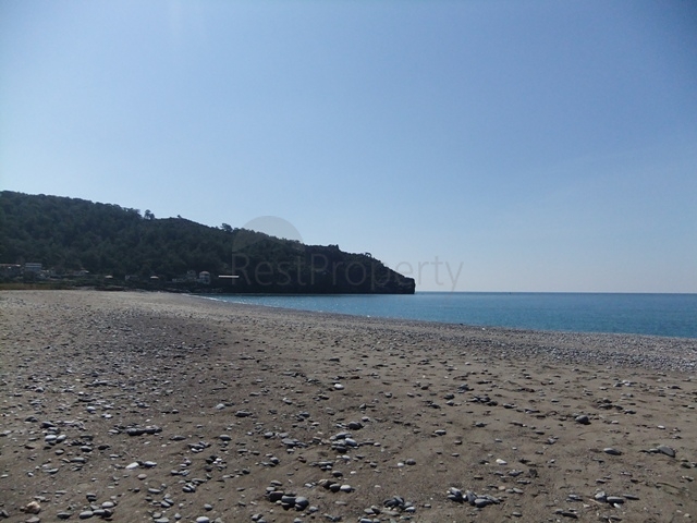 Недвижимость в Турции, Земельный участок прямо у моря в районе Газипаша!