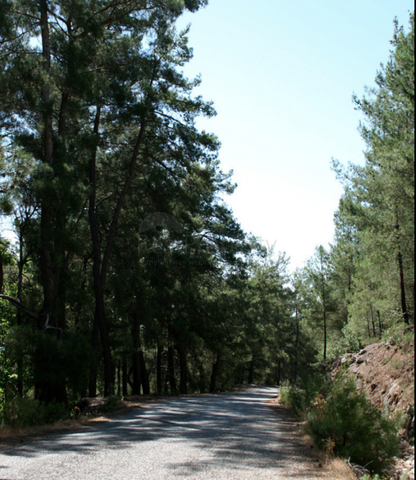 Элитный проект вилл в Бейджике Кемере