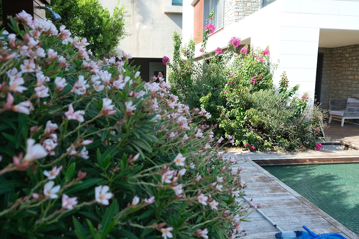 Проект элитных вилл с видом на старинную крепость и море в центре Бодрума