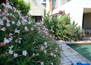 Проект элитных вилл с видом на старинную крепость и море в центре Бодрума