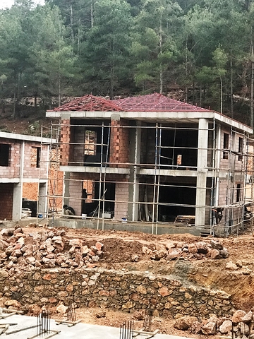  Виллы в хвойном лесу