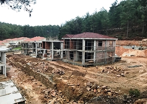  Виллы в хвойном лесу