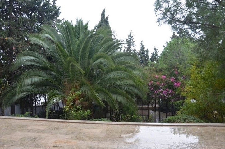 Вилла планировкой 3+2 для большой семьи