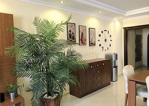 Меблированные апартаменты на первой линии в Махмутларе