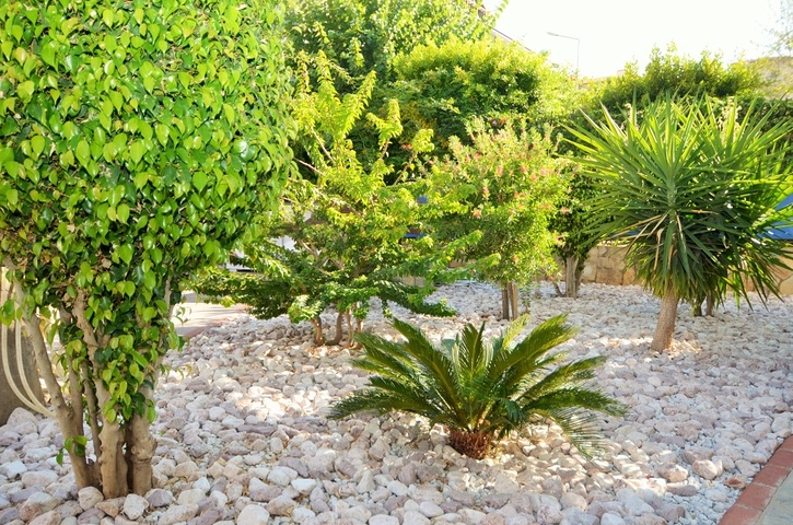 Трёхкомнатные апартаменты в районе Оба