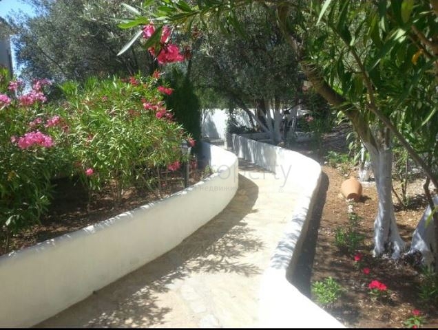 Дом в горном ущелье с зеленым садом