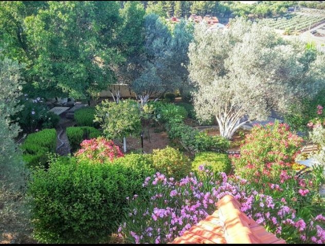 Дом в горном ущелье с зеленым садом