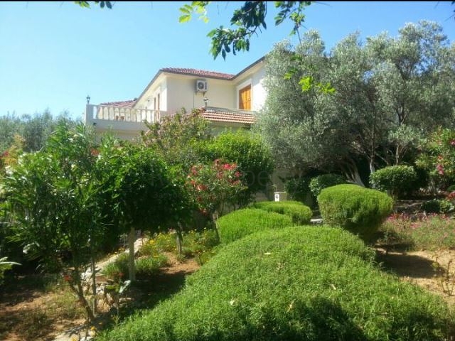 Дом в горном ущелье с зеленым садом