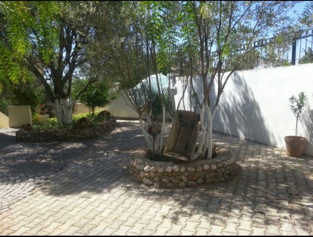 Дом в горном ущелье с зеленым садом