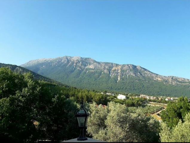 Дом в горном ущелье с зеленым садом