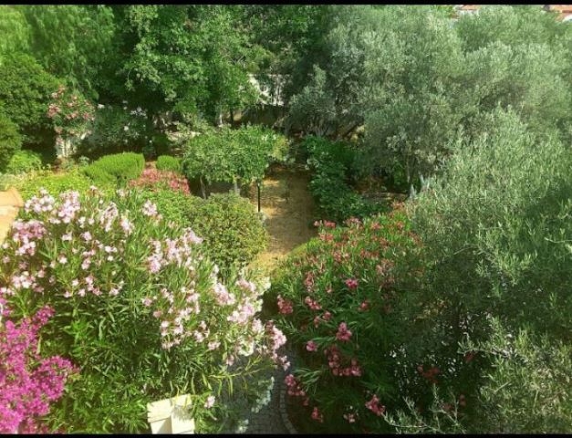 Дом в горном ущелье с зеленым садом