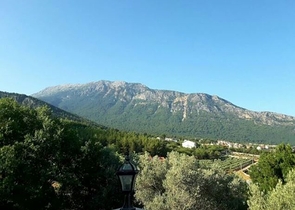 Дом в горном ущелье с зеленым садом