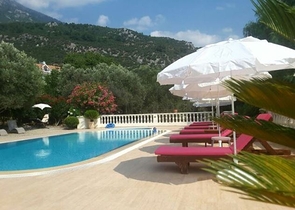 Дом в горном ущелье с зеленым садом