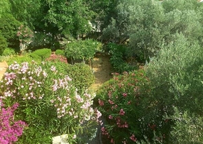 Дом в горном ущелье с зеленым садом