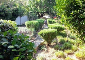 Дом в горном ущелье с зеленым садом