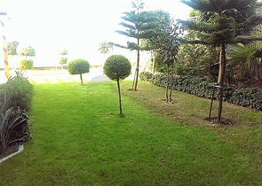 Роскошные апартаменты 1+1 в Конаклы