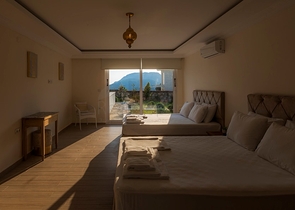 Вилла с частным бассейном и садом в Оваджик