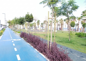 Квартира-дуплекс 2+1 с мебелью 100 м до моря в Анталии