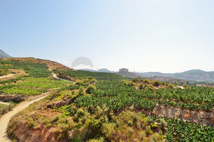 Меблированные апартаменты 3+1 с видом на море