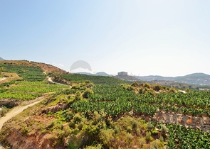 Меблированные апартаменты 3+1 с видом на море