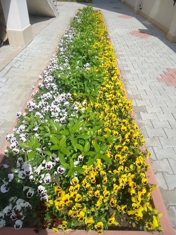 Королевский пентхаус с шикарным видом на горы