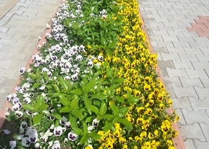 Королевский пентхаус с шикарным видом на горы