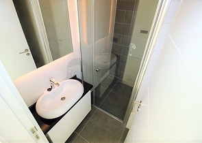 Шикарный дуплекс с собственным садом