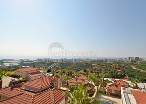 Большая вилла с камином