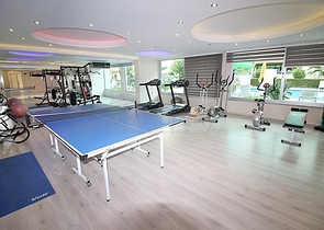 Двухкомнатная квартира в районе Махмутлар