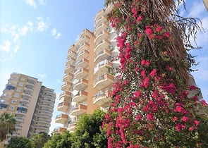 Трехкомнатная квартира с большой квадратурой