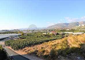 Трехкомнатная квартира в новом комплексе