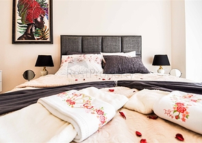 Меблированная квартира планировки 2+1