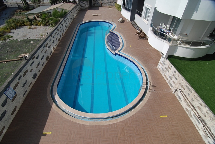 Меблированная квартира планировки 1+1