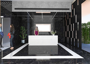 Потрясающий великолепный проект в элитном районе Шишли