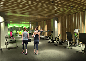 Потрясающий великолепный проект в элитном районе Шишли