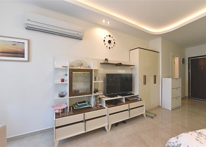 Меблированная квартира студия