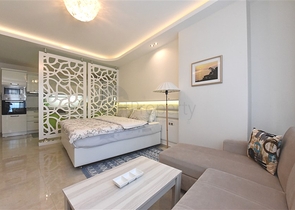 Меблированная квартира студия