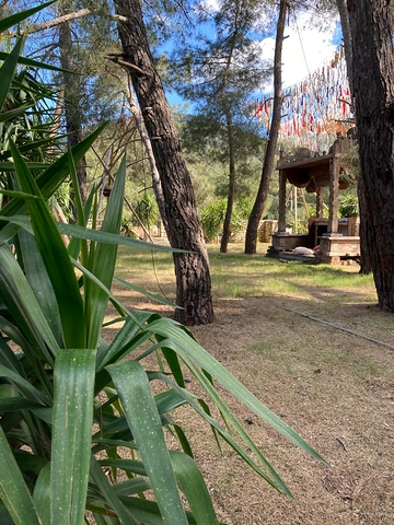 Продается отель и клуб от собственника в элитном районе Бодрума!