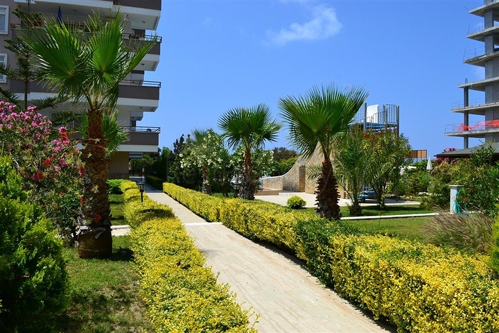 Трехкомнатная квартира с видом на море