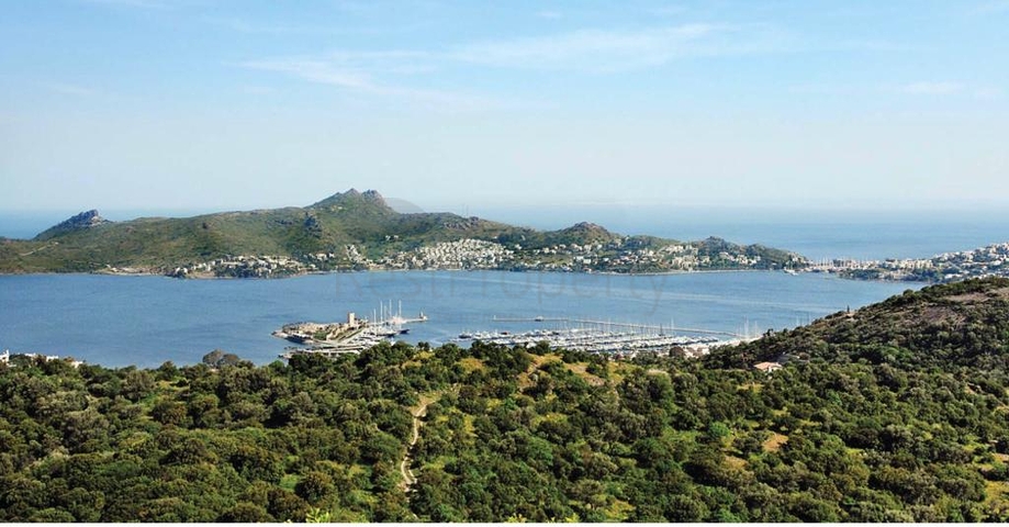 Открывается продажа вилл на элитной возвышенности Ялыкавака