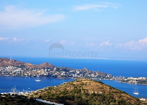 Открывается продажа вилл на элитной возвышенности Ялыкавака