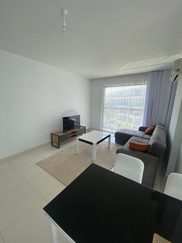 Меблированная квартира планировки 1+1