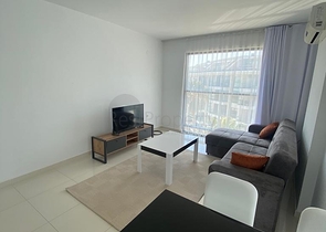 Меблированная квартира планировки 1+1