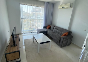 Меблированная квартира планировки 1+1